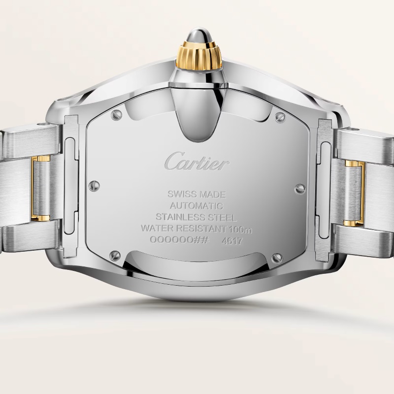 Parte traseira do Cartier Roadster com fundo em aço