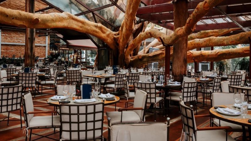 Salão do restaurante Figueira Rubaiyat com a icônica figueira centenária ao centro