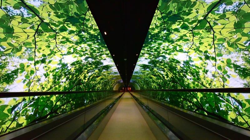 Passarela com paisagismo e arquitetura sofisticada no Shopping Cidade Jardim