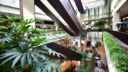 JHSF Shopping Cidade Jardim amplia participação em empreendimento de luxo