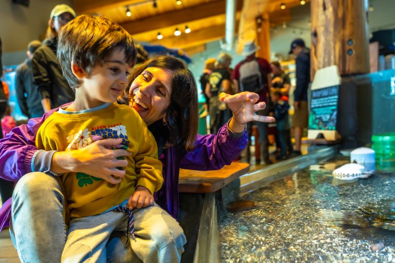 Criança e adulto sorrindo durante uma experiência em exposição aquática em Viagens e desenvolvimento
