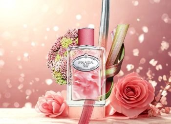 2ada297b-f2d3-46d6-b768-a750b2ef913f