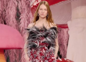 looks-plumagem-pássaros-bordados-chanel-alta-costura-2026-plumas-principal-800X450-menor